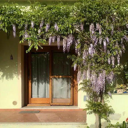 Luciana House Apartment